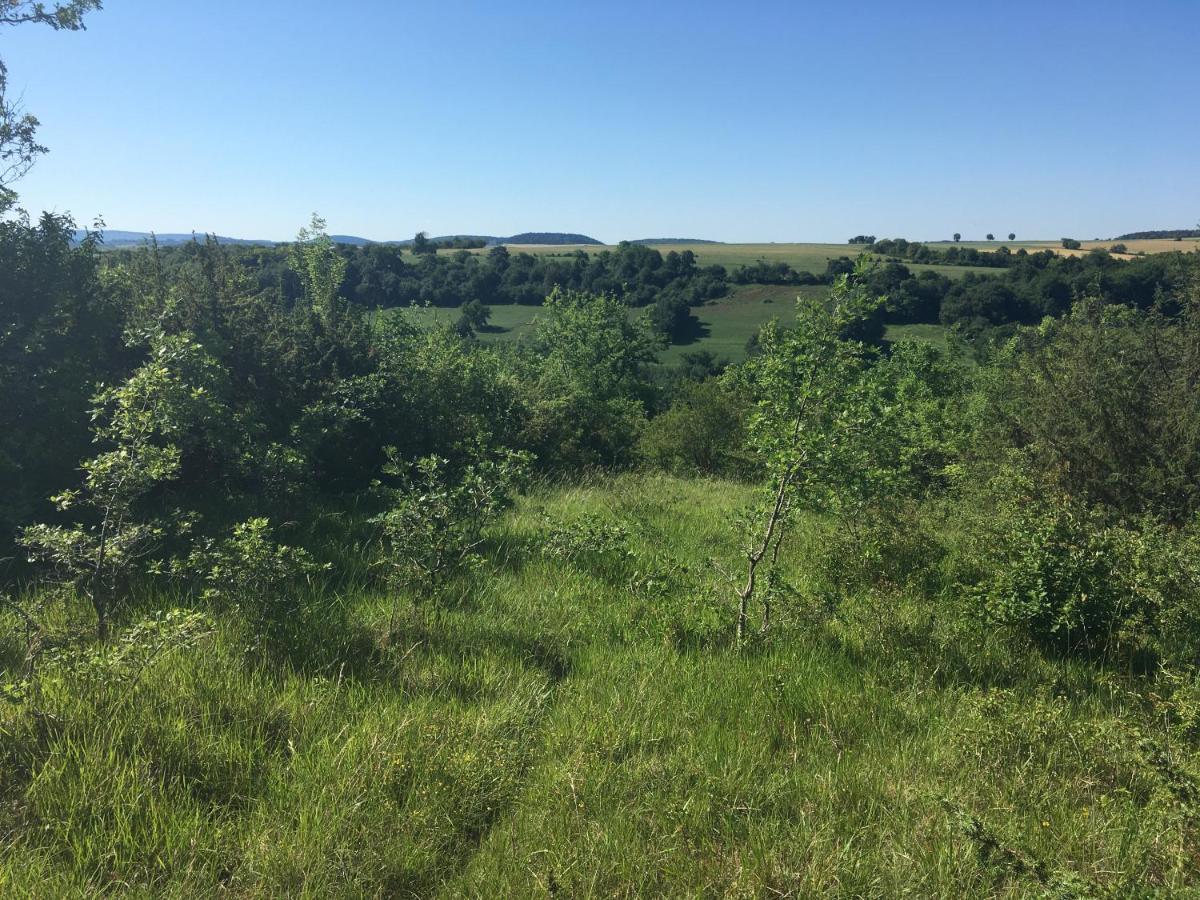 Fontenay-près-Vézelay Au Cheval Bleu B&B 외부 사진